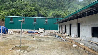 থাই নগুয়েন বাং থানে অবৈধ সমতলকরণ, নির্মাণ এবং রাস্তা খোলার কাজ পরিদর্শনের নির্দেশ দিয়েছেন।