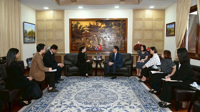 Thajská fotbalová federace se zavázala, že nedopustí, aby se podobný incident opakoval, a omylem vztyčila vietnamskou státní vlajku.