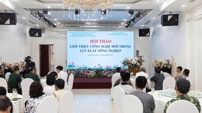 Application of Virtual Reality Technology and Geographic Information System: New Direction for High Quality Agricultural Production in Hai Phong City