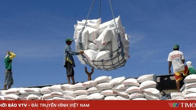 Vietnam a Singapur podepsaly dohodu o spolupráci v obchodu s rýží