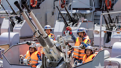 Brigade 169 (Marine Regio 1): "Reguliere, Voorbeeldige" Scheepscompetitie, Scheepstrainingssportfestival, Scheepsofficierscompetitie 2025