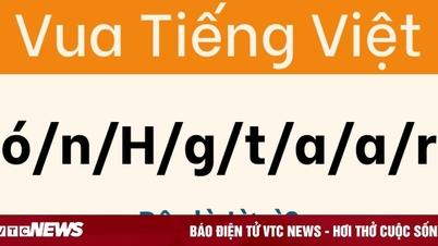Bu bulmacayı 'Vietnam Kralı' da dahil olmak üzere kimse çözemedi