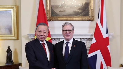 Vietnam mantiene una alianza estratégica integral con los cinco miembros permanentes del Consejo de Seguridad de la ONU.