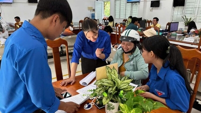 Úzká koordinace, efektivní propaganda