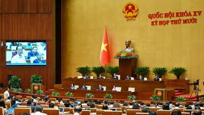 Building and enforcing laws to create momentum for rapid and sustainable development