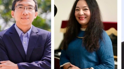 Qual universidade tem o maior número de professores titulares e professores associados?