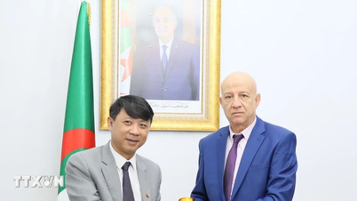 ভিয়েতনাম এবং আলজেরিয়া সহযোগিতা জোরদার করে এবং দ্বিপাক্ষিক সম্পর্ককে উৎসাহিত করে