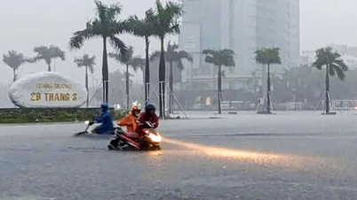 Cuaca hari ini 31 Oktober: Hujan dingin di Utara, hujan lebat di wilayah Hue hingga Nghe An