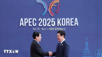 রাষ্ট্রপতি লুং কুওং ৩২তম APEC শীর্ষ সম্মেলনে যোগদান করেছেন