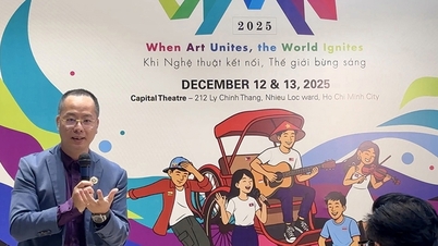 ארגון פסטיבל המוזיקה והאמנויות הבינלאומי של וייטנאם