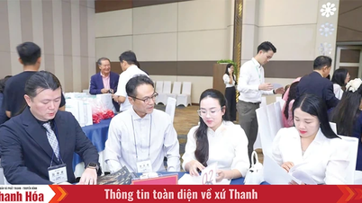 ជំរុញកិច្ចសហប្រតិបត្តិការសេដ្ឋកិច្ចជាមួយទីផ្សារសក្តានុពល