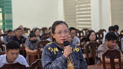 הצעת מנגנון פורץ דרך לשיפור רמת "החקלאות, האזורים הכפריים והאזורים הכפריים"