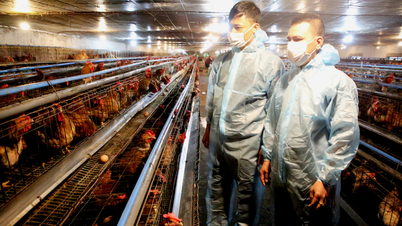 Bac Ninh: Využití špičkových technologií, zlepšení chovu hospodářských zvířat