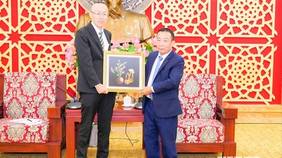 Οι ηγέτες της επαρχίας Nghe An συνεργάζονται με τον επικεφαλής εκπρόσωπο του γραφείου JICA στο Βιετνάμ