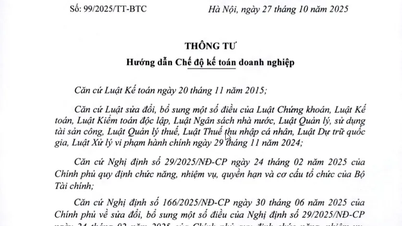 [OFFICIELLT] CIRKULÄR 99/2025/TT-BTC ERSÄTTER CIRKULÄR 200/2014/TT-BTC OM FÖRETAGSREDOVISNING.