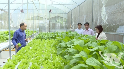 A gazdák láncszemeket építenek a termelésben