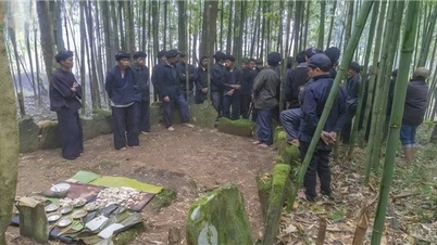 যখন হা নি জনগণের আদিবাসী জ্ঞান জলবায়ু পরিবর্তনের প্রতিক্রিয়ায় একটি বাস্তব সমাধান হয়ে ওঠে