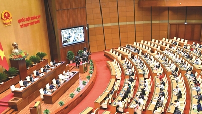 Lønnspolitikk – nøkkelen til å låse opp organisasjonens motivasjon