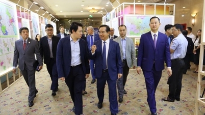 Ho Chi Minh-byen lover å kutte 30 % av administrative prosedyrer for å ønske den nye bølgen av utenlandske direkteinvesteringer velkommen.