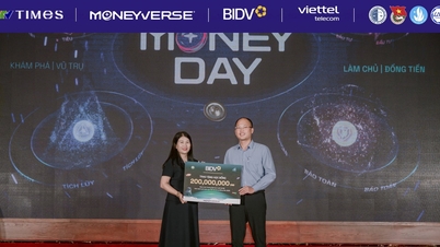 Learning to protect justice, Hanoi Law students also learn how to protect their wallets.