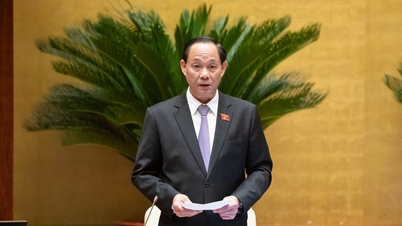 Merkeziyetsizliği, yetki devrini ve idari prosedürlerin azaltılmasını teşvik edin