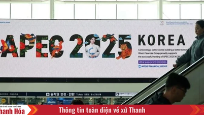 Le sommet de l'APEC 2025 devrait rapporter 5 milliards de dollars à l'économie coréenne.