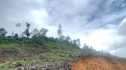 국도 40B 경사면 발전사업 안전 확보 긴급