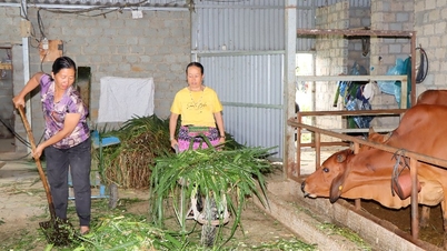 ជំរុញការអភិវឌ្ឍន៍សហករណ៍ និងការផ្សារភ្ជាប់ផលិតកម្ម