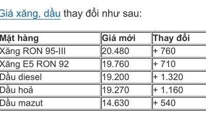 Ceny benzinu a ropy k 31. říjnu