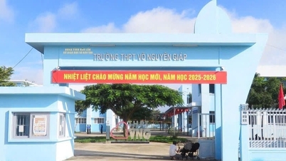 Tvunget til å sparke mattelærer som «kvalt» skolefagforeningssekretær