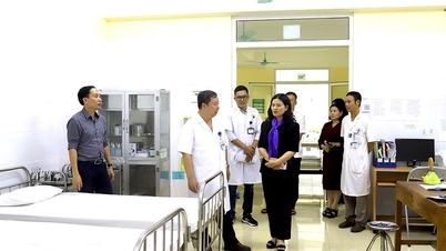 Místopředseda provinčního lidového výboru Vuong Ngoc Ha prohlédl nemocnici tradiční medicíny a centrum sociální práce.