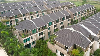 Uzman: Arsa fiyatları yüksek, konut fiyatlarının düşürülmesi zor