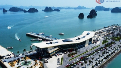 신세대 반돈 특별경제구역을 위한 특별하고 탁월한 정책 필요성