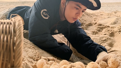 Érintsd meg az óceán leheletét: Egy Tay Ninh-i fiú tengeri teknősvédelmi útja