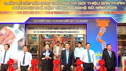 Menghubungkan perdagangan, menggalakkan pengeluaran hijau dalam industri sokongan mekanikal