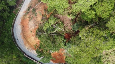 لام دونج: تعيين مستشارين لتقييم ومعالجة الانهيارات الأرضية في ممر ديران بشكل كامل