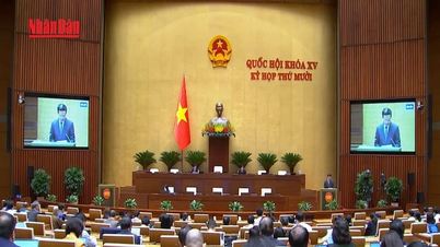 [Відео] Удосконалення правового коридору, сприяння розвитку високих технологій