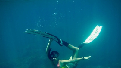 Sürdürülebilir turizm gelişimi için ormanları yeşil, denizleri temiz tutun