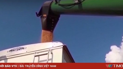 Chiny kupią 12 milionów ton amerykańskiej soi