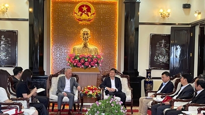 Phó Chủ tịch UBND tỉnh Lâm Đồng Nguyễn Hồng Hải làm việc với Công ty TNHH Tập đoàn Xây dựng Thái Bình Dương