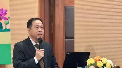 Giáo dục đại học: Kiến tạo tự chủ toàn diện, phát triển nhân lực chất lượng cao