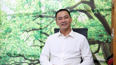 民間企業は来期に飛躍的な進歩を期待している