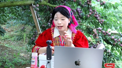 ترویج توسعه تحول دیجیتال