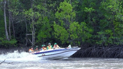 Ca Mau "takes advantage of the situation" to develop tourism