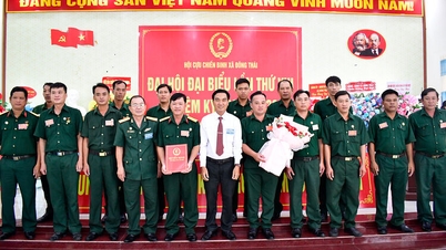 Dong Thai Commune Veterans Association: Solidarity, Innovation, Creativity, and Compassion