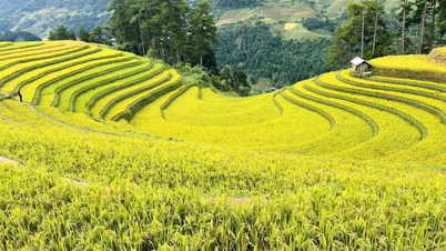 سلام اکتبر!