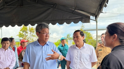 Vice ordförande för Lam Dong-provinsens folkkommitté, Nguyen Minh, inspekterade översvämningssituationen i Ham Thuan och Ham Liem.