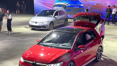 Volkswagen Golf: 6 versiones eTSI, GTI, R Performance