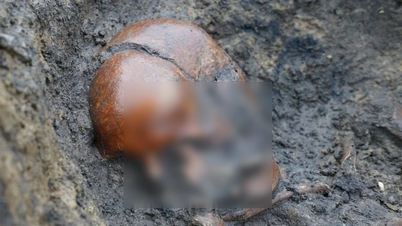 Cincuenta esqueletos vikingos asombrosos se encuentran increíblemente intactos.