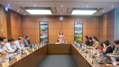 Clearly define criteria for classifying treaties, ensuring consistency in the legal system